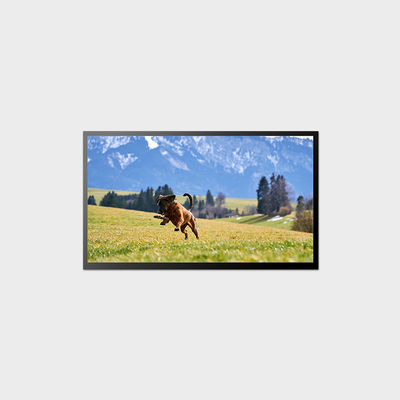 23.8 polegadas Alto brilho LCD Display 58W 1920*1080 LVDS LCD Painel 1000nits