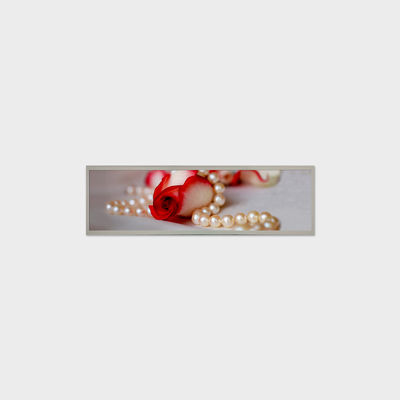 19Painel LCD de 4 polegadas 1920*510 LVDS 1000 Nits Screen para sinalização comercial