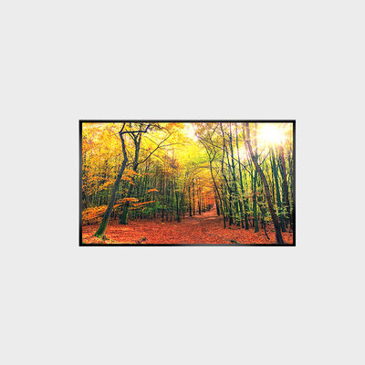Ecrã LCD 43 polegadas painel LCD 1000nits resolução 3840 * 2160 LCMA-RX0430GL19-Z100