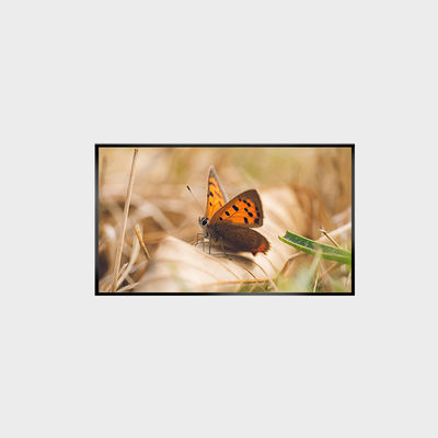 Painel LCD de 43 polegadas 2000nits 1920*1080 LCMA-RX0430GL13-Z200