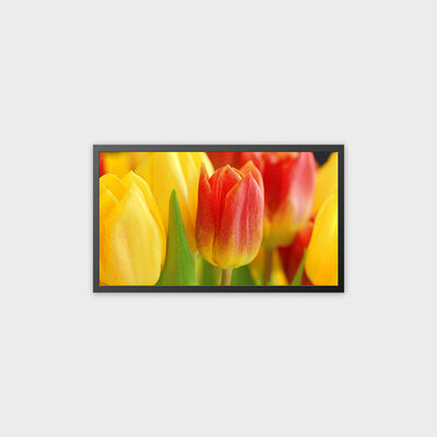 Máquina TFT LCD de 32 polegadas Recarregável Suporte Android 13.0 Sistema