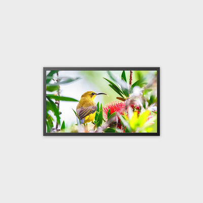 Solução de alto brilho da exposição 4000nits da propaganda de TFT LCD de 32 polegadas