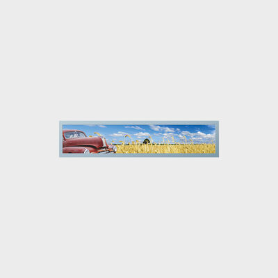 Tipo aplicação da barra de 28 polegadas do transporte do metro da exposição de TFT com personalização