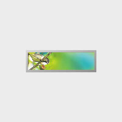 Tipo exposição da barra de 19,4 polegadas de TFT LCD com baixa personalização do apoio do consumo de Ppower