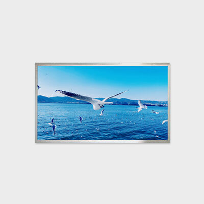 Exposição larga da temperatura da solução do brilho da solução 800nits de TFT LCD de 13,3 polegadas