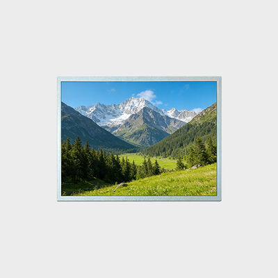 Exposição de TFT LCD de 15 polegadas com solução do apoio -30~80°C da definição 1024*768