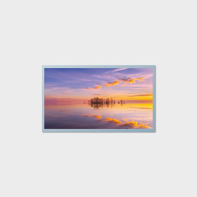 Solução industrial de tamanho médio com tela TFT LCD de 21,5 polegadas com suporte de 1000nits ao ar livre.