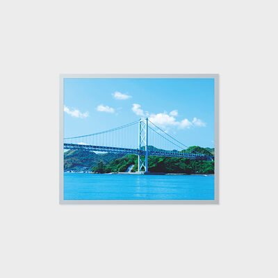 Definição da exposição 1280*1024 de TFT LCD de 19 polegadas com área industrial de temperatura larga