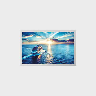 Solução TFT LCD de 12,1 polegadas para aplicação industrial com personalização