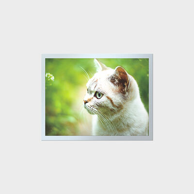 LCD de longa vida útil TFT de alto brilho de 15 polegadas para painéis de instrumentos industriais