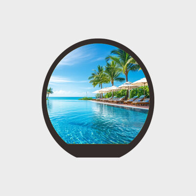LCD redondo de 0,99 polegadas com aplicação do Smart Watch do apoio da solução do brilho 450nits
