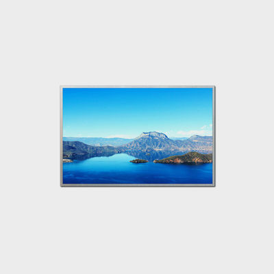10.1 polegada Display LCD de Alto Brilho 1280*800 LVDS 1000nits