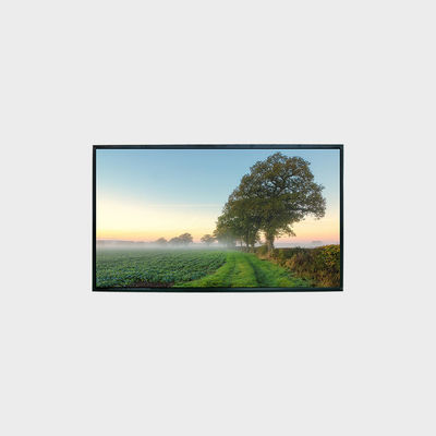Experiência de imagens nítidas e claras com tela LCD de alto brilho de 43" 1920*1080 LVDS 1500nits