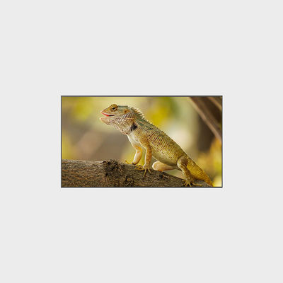 2000 nits Alto brilho 3840*2160 Display LCD de 98 polegadas para um desempenho ideal