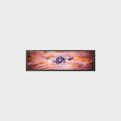 19Display LCD de 5 polegadas 1920*536 700nits LVDS LCD High Anti Vibration