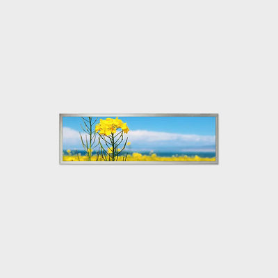 19.4 polegadas Tipo de barra LCD 1920*510 LVDS 500nits