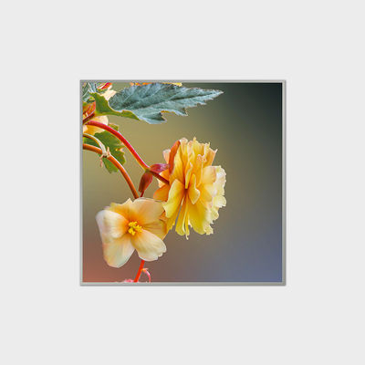 33Display LCD quadrado de.2 polegadas 420nits Modulo LCD LVDS para shoppings