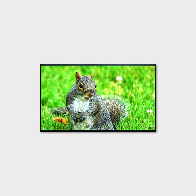 LCMA-RX0430GB03-Z200 tela LCD de 43" com resolução 1920*1080 e alto brilho de 2000 nits