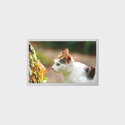 Tela TFT de 12,1 polegadas com LCD de baixo consumo de energia para dispositivos médicos portáteis