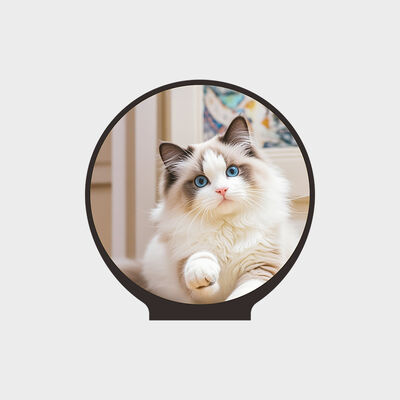 2.76 Inch Round LCD 480*480 Resolution With 300nits Brightness IPS View Angle