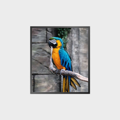 Painel LCD Quadrado de Alto Contraste 35,6 polegadas 950*1080 500nit Com Sistema Android