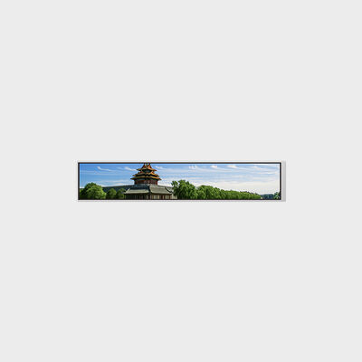Barra-Tipo LCD de 6,9 ​​polegadas com personalização de brilho de suporte de resolução 280*1424