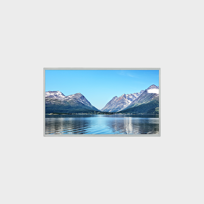 21.5 polegadas TFT LCD Display Solução de luz de fundo iluminada diretamente com sistema de estacionamento de suporte de 3000nits