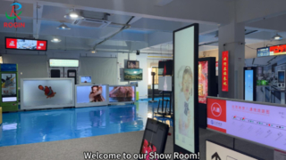 Rogin's Show Room - Módulo LCD Full HD de tamanho pequeno e médio